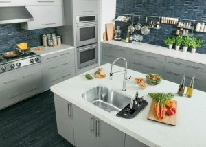 Blanco ONE sink